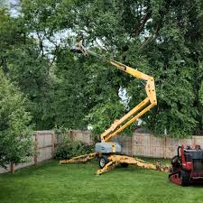 Best Tree Risk Assessment  in Fairfield Plantation, GA